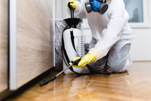 Professional Pest Control in Atlantic City, NJ