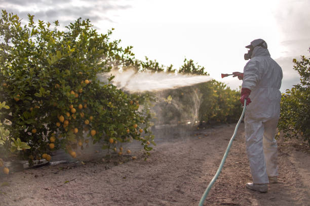 Best Pest Control Near Me  in Atlantic City, NJ