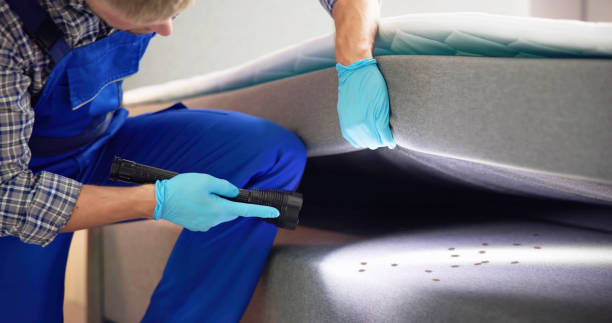 Best Flea Control Services  in Atlantic City, NJ