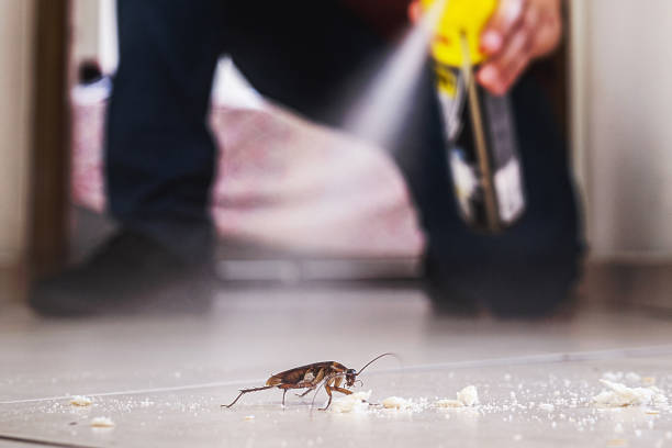Best Wasp Removal Services  in Atlantic City, NJ