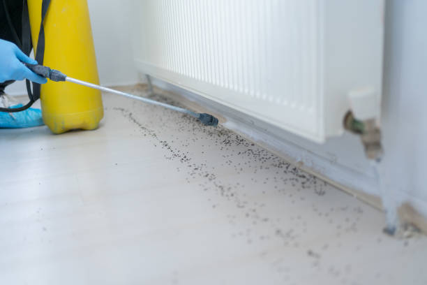 Pest Control Cost in Atlantic City, NJ