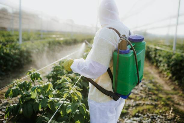 Best Pest Prevention Services  in Atlantic City, NJ
